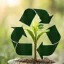 Símbolo de reciclaje con una planta creciendo, representando sostenibilidad.